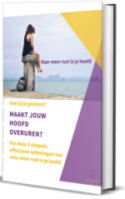 e-boek Naar meer rust in je hoofd-300