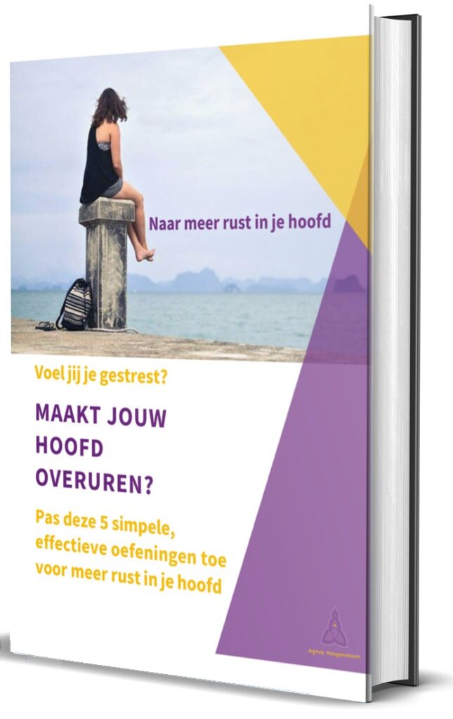 e-boek Naar meer rust in je hoofd - Agnes Hoogendoorn