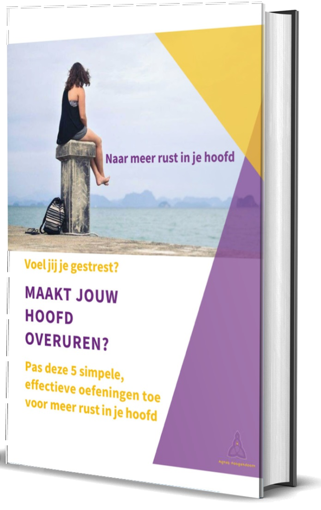 e-boek Naar meer rust in je hoofd, Agnes Hoogendoorn